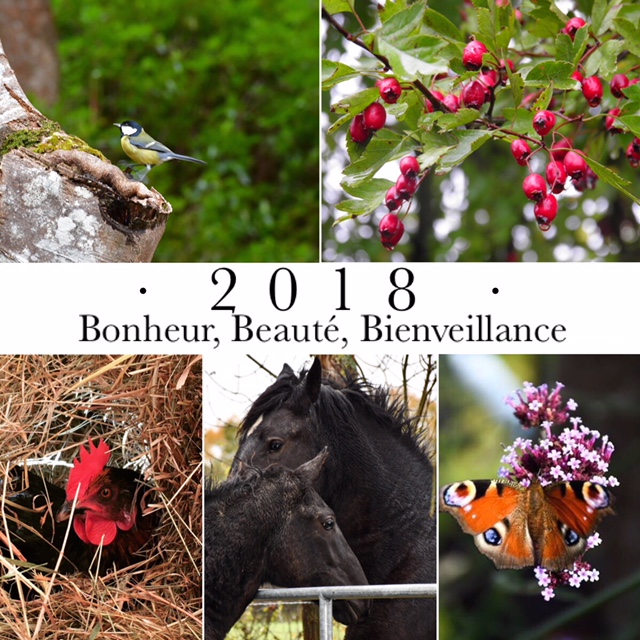 Tourisme dans le Perche : #slowlife, #weekendbreak #quedubonheur Tourisme dans le Perche : #slowlife, #weekendbreak #quedubonheur